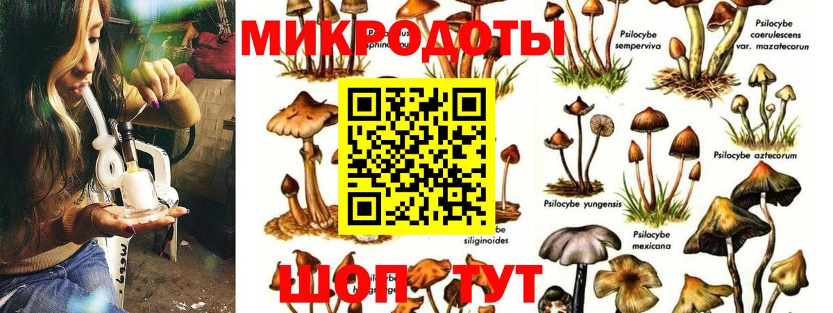 Псилоцибиновые грибы прущие грибы  Вход с VPN  Ртищево 