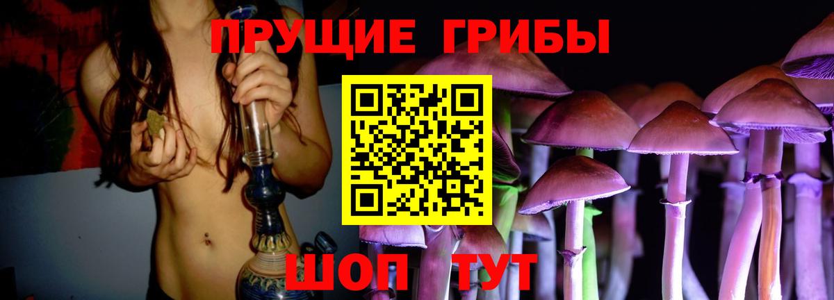 Галлюциногенные грибы Psilocybe Ртищево